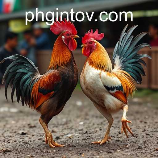 The Rise and Impact of Online Sabong: The Role of 'phginto' in Digital Cockfighting